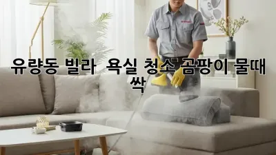 유량동 빌라 🏡 욕실 청소, 곰팡이 물때 싹! ✨