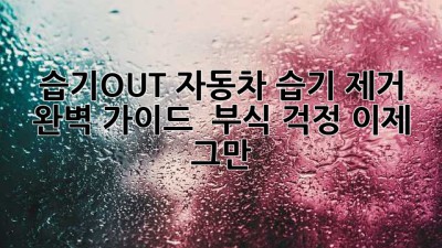 🚗 습기OUT! 자동차 습기 제거 완벽 가이드 🛡️ 부식 걱정 이제 그만!