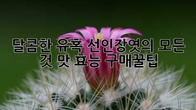 🌵 달콤한 유혹! 선인장엿의 모든 것: 맛, 효능, 구매꿀팁🍯