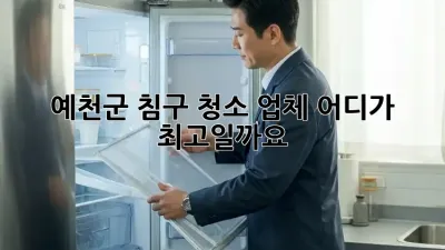 예천군 침구 청소 업체, 어디가 최고일까요?