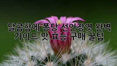 🌵 달콤함에 퐁당! 선인장엿 완벽 가이드: 맛, 효능, 구매 꿀팁🍯